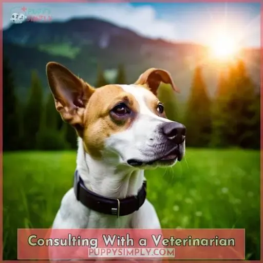 Consulting With a Veterinarian