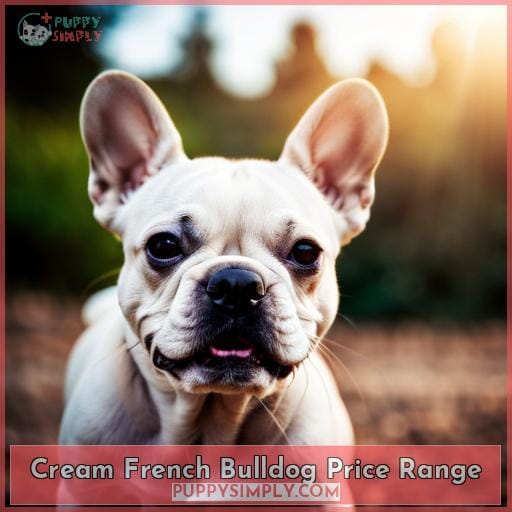 Cream French Bulldog Price Range