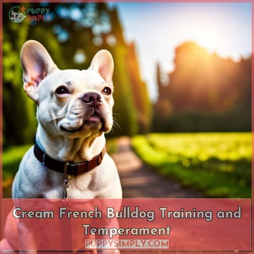 Cream French Bulldog Training and Temperament