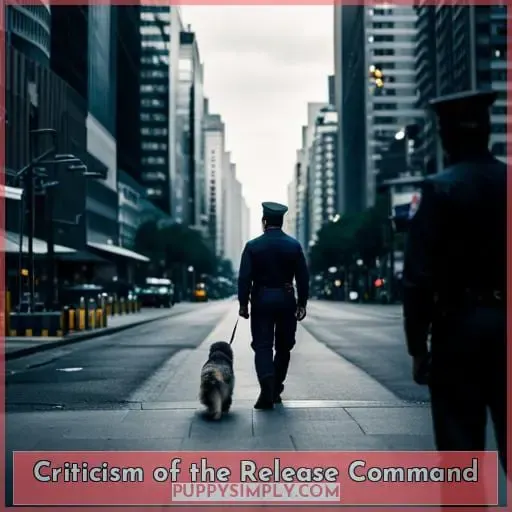 Criticism of the Release Command