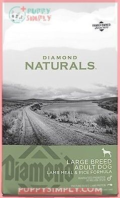 Diamond Naturals Large Breed Adult