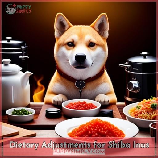 Dietary Adjustments for Shiba Inus