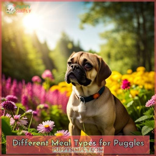 Different Meal Types for Puggles