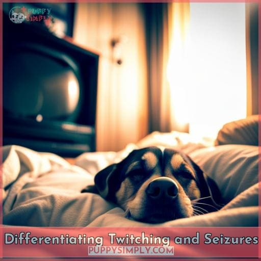 Differentiating Twitching and Seizures