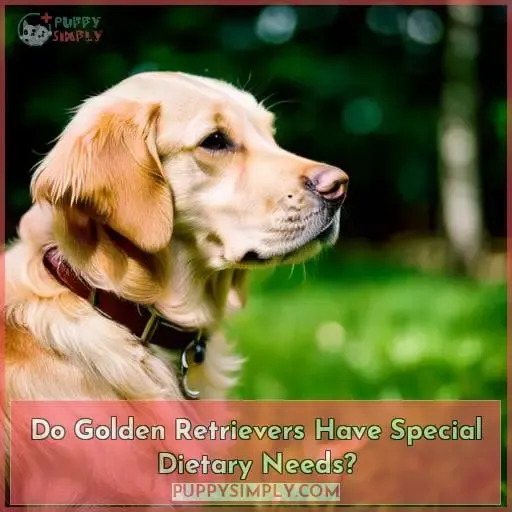 Do Golden Retrievers Have Special Dietary Needs