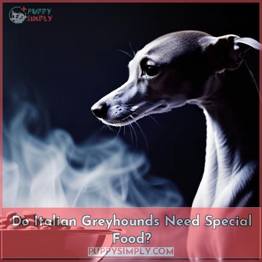 Do Italian Greyhounds Need Special Food