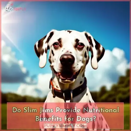 Do Slim Jims Provide Nutritional Benefits for Dogs
