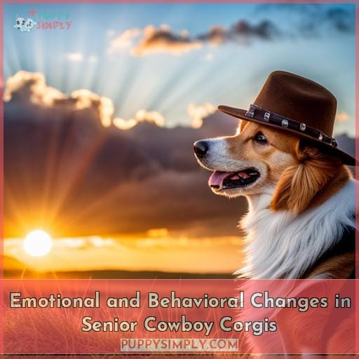 Emotional and Behavioral Changes in Senior Cowboy Corgis