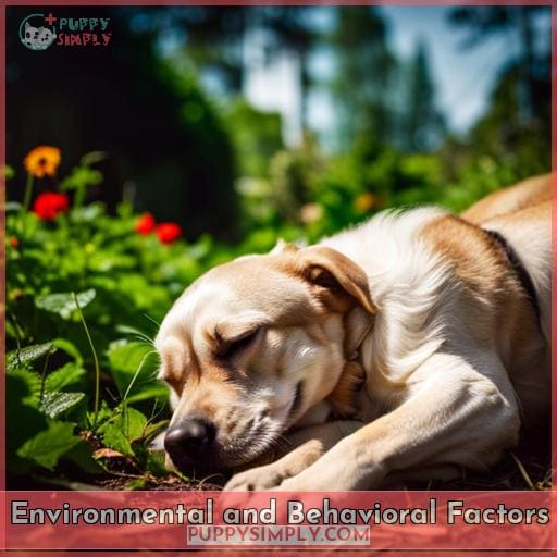 Environmental and Behavioral Factors