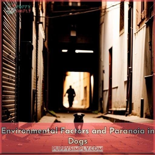 Environmental Factors and Paranoia in Dogs