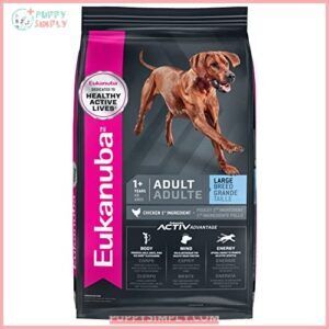Eukanuba Adult Large Breed Dog