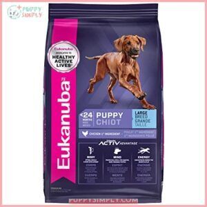 Eukanuba Puppy Large Breed Dry B006YQS8BC