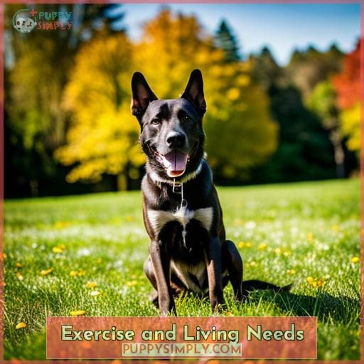 Exercise and Living Needs