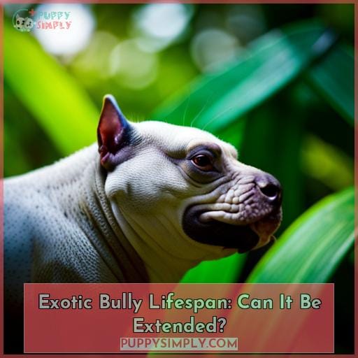 Exotic Bully Lifespan: Can It Be Extended