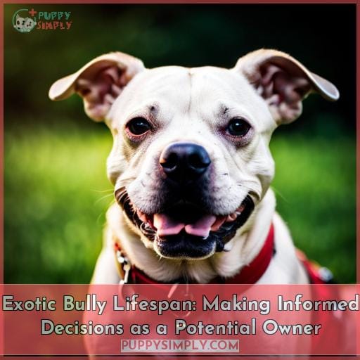 Exotic Bully Lifespan: Making Informed Decisions as a Potential Owner
