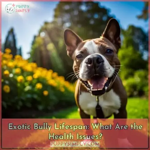 Exotic Bully Lifespan: What Are the Health Issues