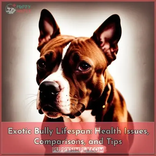 exotic bully lifespan