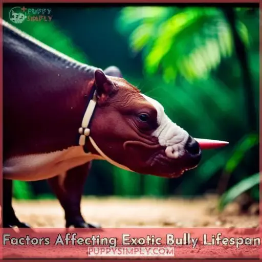 Factors Affecting Exotic Bully Lifespan