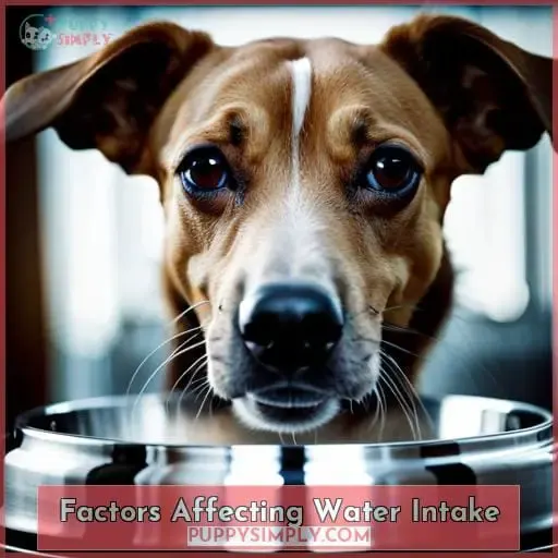 Factors Affecting Water Intake