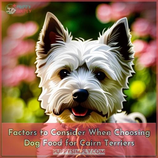 Factors to Consider When Choosing Dog Food for Cairn Terriers
