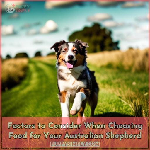 Factors to Consider When Choosing Food for Your Australian Shepherd