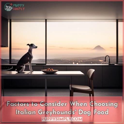 Factors to Consider When Choosing Italian Greyhounds