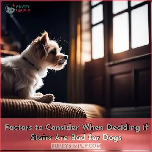 Factors to Consider When Deciding if Stairs Are Bad for Dogs