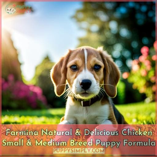 Farmina Natural & Delicious Chicken Small & Medium Breed Puppy Formula