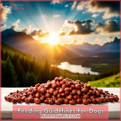 Feeding Guidelines for Dogs