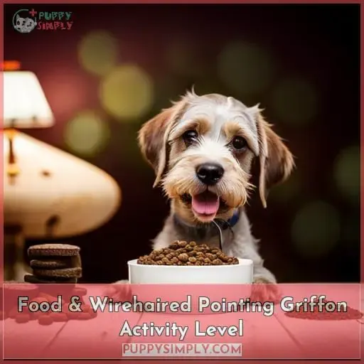 Food & Wirehaired Pointing Griffon Activity Level