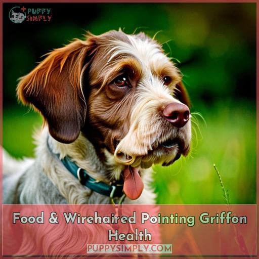 Food & Wirehaired Pointing Griffon Health
