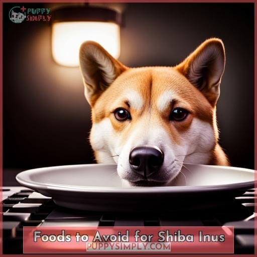 Foods to Avoid for Shiba Inus