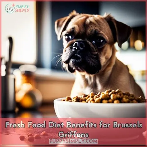 Fresh Food Diet Benefits for Brussels Griffons