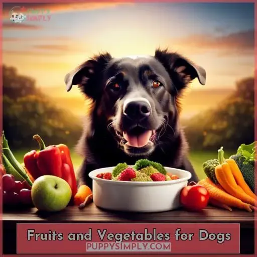 Fruits and Vegetables for Dogs