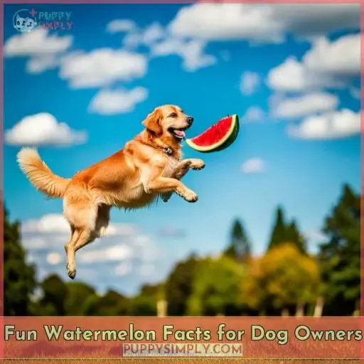Fun Watermelon Facts for Dog Owners