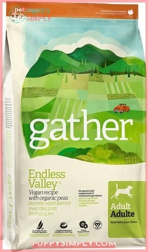 Gather Endless Valley Vegan Dry