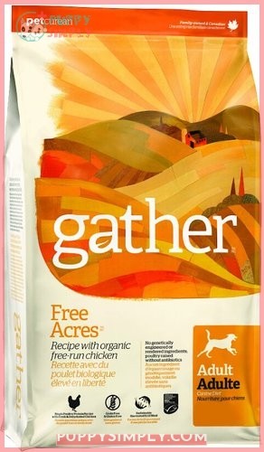 Gather Free Acres Organic Free-Run