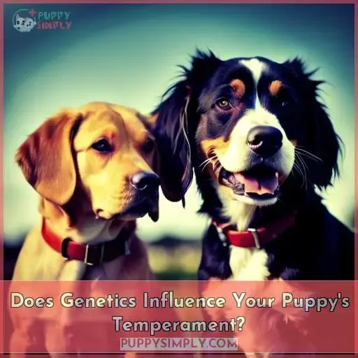 genetics determine my puppys temperament