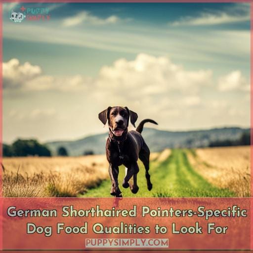 German Shorthaired Pointers-Specific Dog Food Qualities to Look For