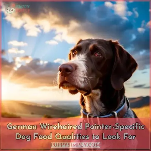 German Wirehaired Pointer-Specific Dog Food Qualities to Look For