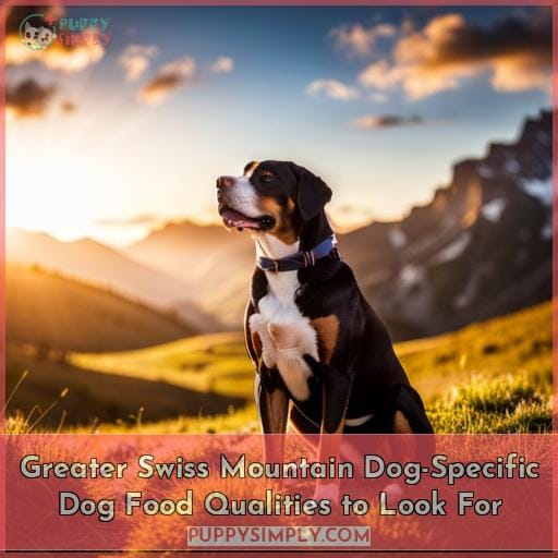 Greater Swiss Mountain Dog-Specific Dog Food Qualities to Look For