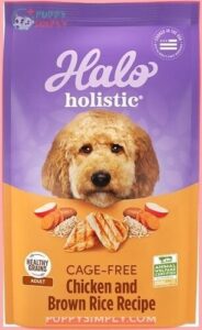 Halo Holistic Complete Digestive Health 185930
