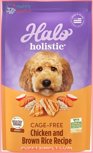 Halo Holistic Complete Digestive Health