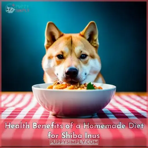 Health Benefits of a Homemade Diet for Shiba Inus