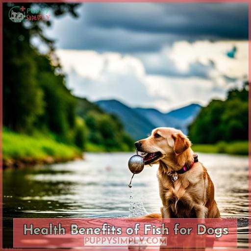 Health Benefits of Fish for Dogs