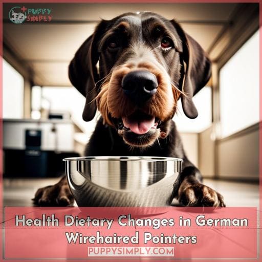 Health Dietary Changes in German Wirehaired Pointers