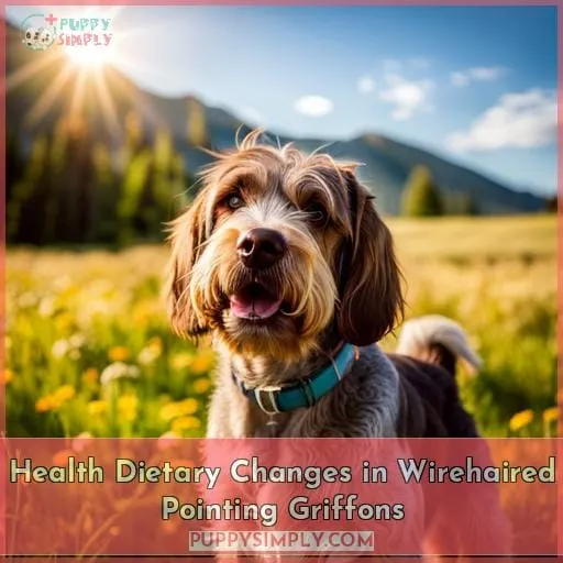 Health Dietary Changes in Wirehaired Pointing Griffons