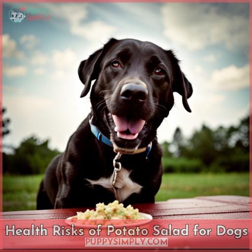 Health Risks of Potato Salad for Dogs