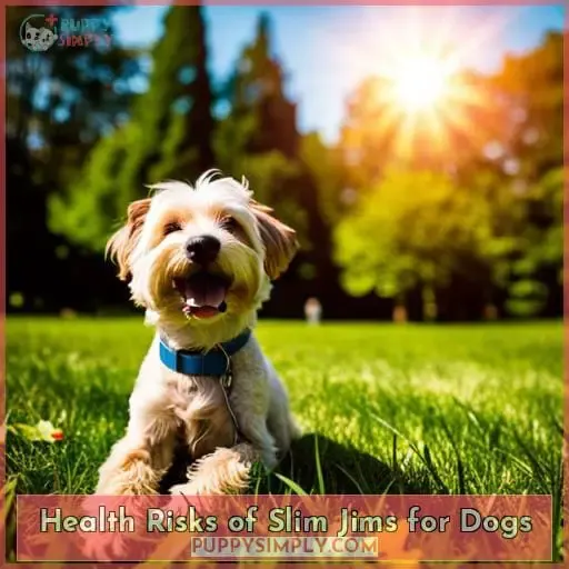 Health Risks of Slim Jims for Dogs