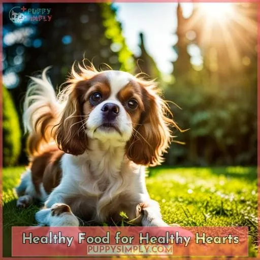 Healthy Food for Healthy Hearts